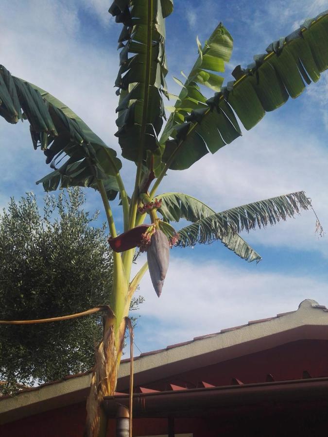 Villaggio Romaniello Marina di Camerota Exteriér fotografie